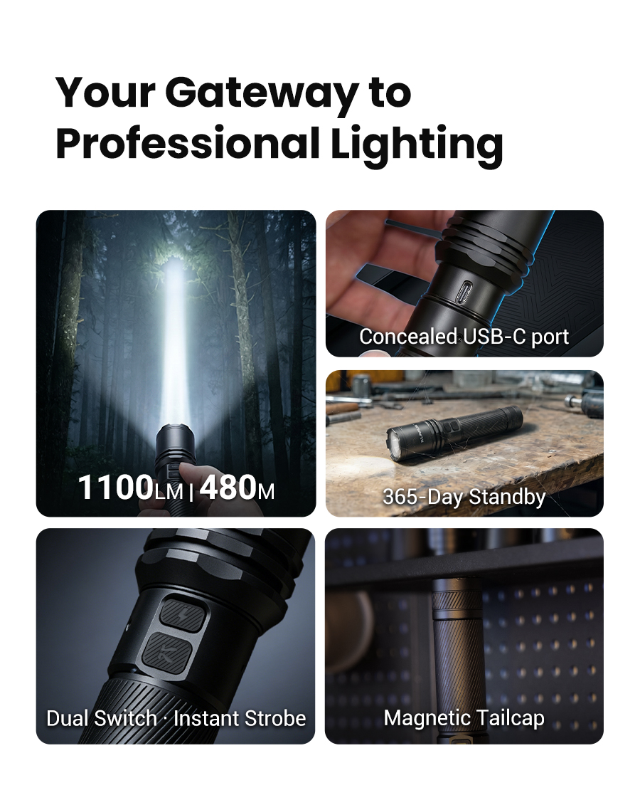 Your Gateway to Professional Lighting
